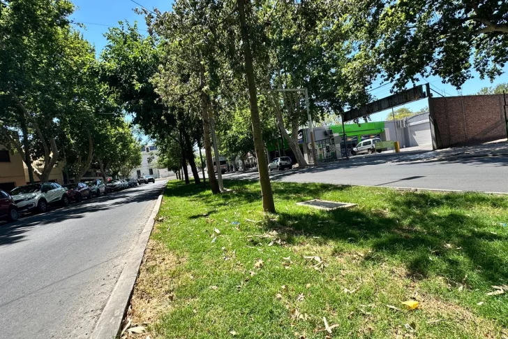 Con una inversión de $300 millones le cambian por completo la imagen al bulevar de Avenida Córdoba