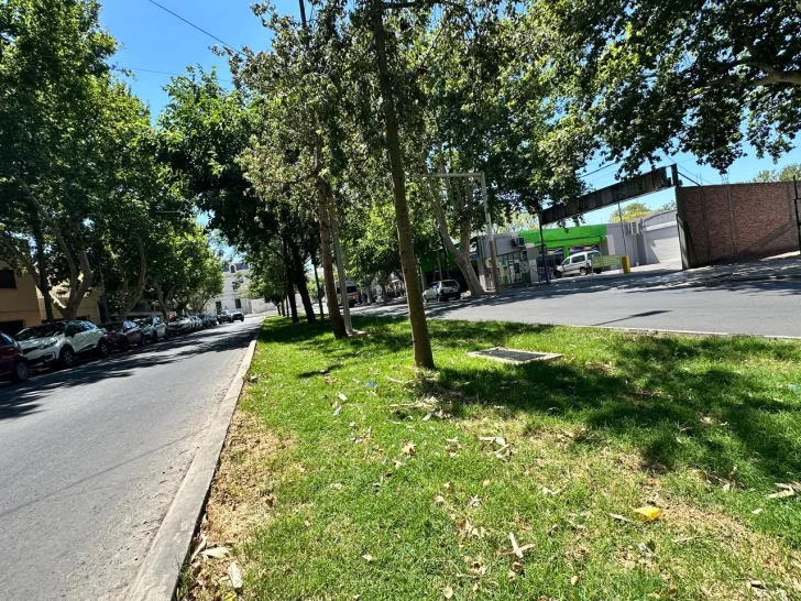 Con una inversión de $300 millones le cambian por completo la imagen al bulevar de Avenida Córdoba Con una inversión de $300 millones le cambian por completo la imagen al bulevar de Avenida Córdoba