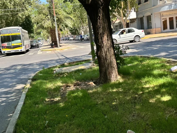 bulevar3-728x546 bulevar3-728x546