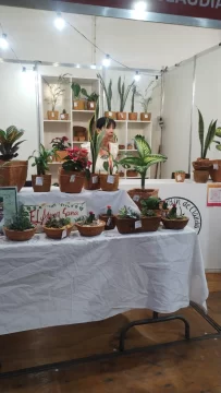 c2de461b-686c-4bff-ae16-e40f755bd95b-1-410x728