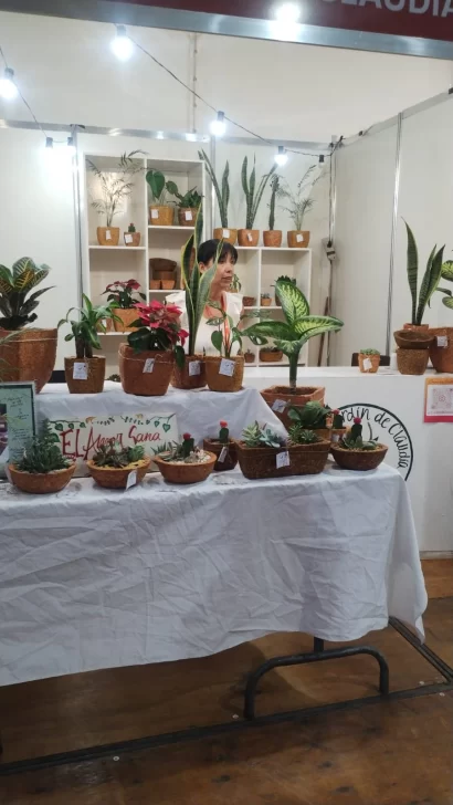 c2de461b-686c-4bff-ae16-e40f755bd95b-1-410x728