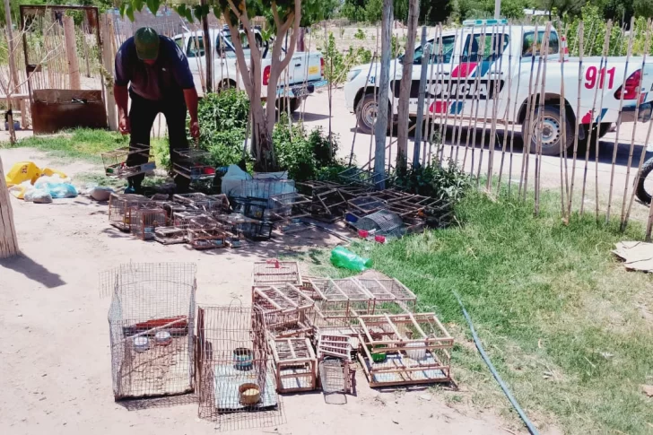 Detuvieron a dos sanjuaninos con 36 aves autóctonas en Sarmiento