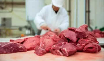 Creció el consumo de carne pero todavía se mantiene por debajo del nivel de 2023 Creció el consumo de carne pero todavía se mantiene por debajo del nivel de 2023