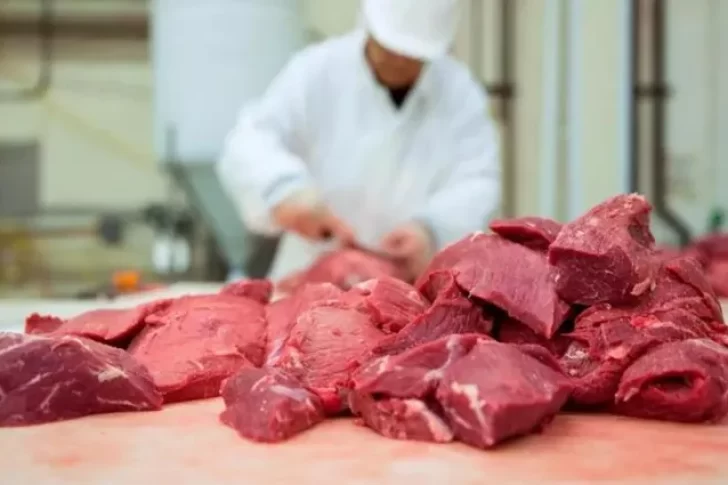 Creció el consumo de carne pero todavía se mantiene por debajo del nivel de 2023