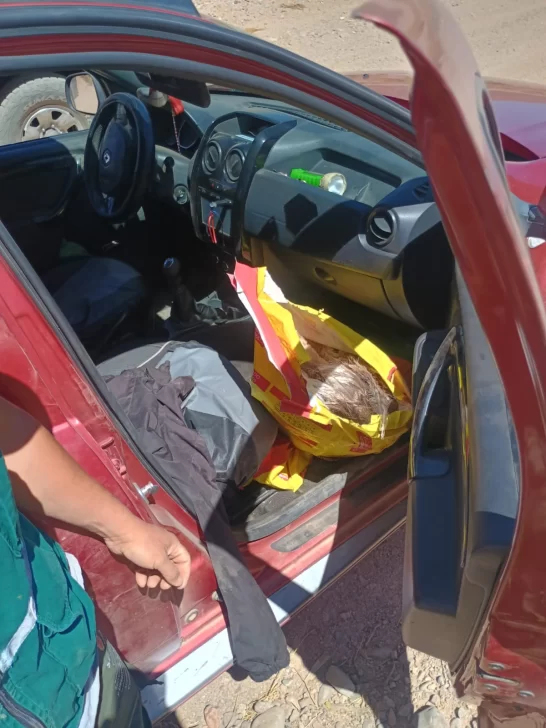 caza-1-546x728 caza-1-546x728