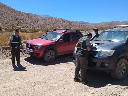 Tras un llamado anónimo, agentes de Conservación interceptaron cazadores furtivos con presas muertas, en zona de San Guillermo Tras un llamado anónimo, agentes de Conservación interceptaron cazadores furtivos con presas muertas, en zona de San Guillermo