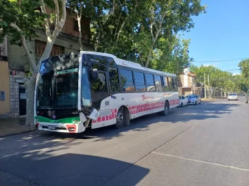 colecccctivo-728x546