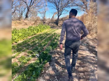 Caterwest siembra oportunidades para familias agrícolas de Jáchal e Iglesia