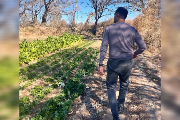 Caterwest siembra oportunidades para familias agrícolas de Jáchal e Iglesia