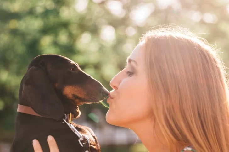 Un estudio respondió si es más higiénico besar a un perro o a una persona con barba