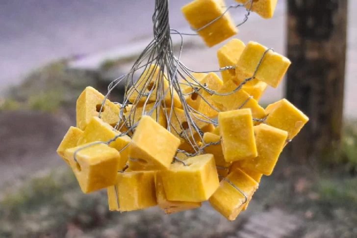 Operativos de desinsectación y desratización continúan en diversos barrios de la Ciudad