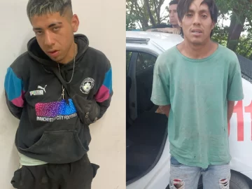 detenidos-por-verdura-2411-728x546