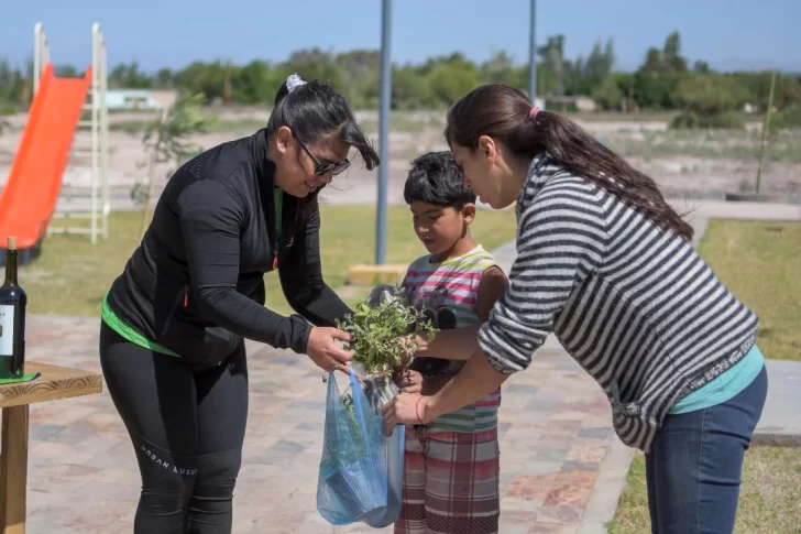 eco2-728x485 eco2-728x485