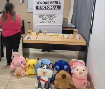 Una boliviana que era parte de un tour de compras fue detenida con peluches llenos de cocaína Una boliviana que era parte de un tour de compras fue detenida con peluches llenos de cocaína