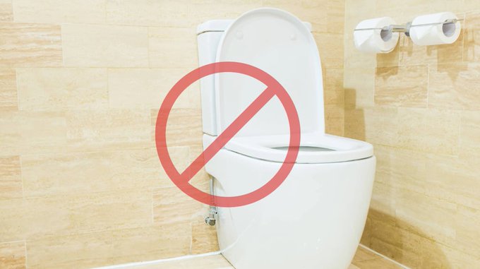 Ni el inodoro ni la cocina: el electrodoméstico más sucio de la casa, según los expertos Ni el inodoro ni la cocina: el electrodoméstico más sucio de la casa, según los expertos