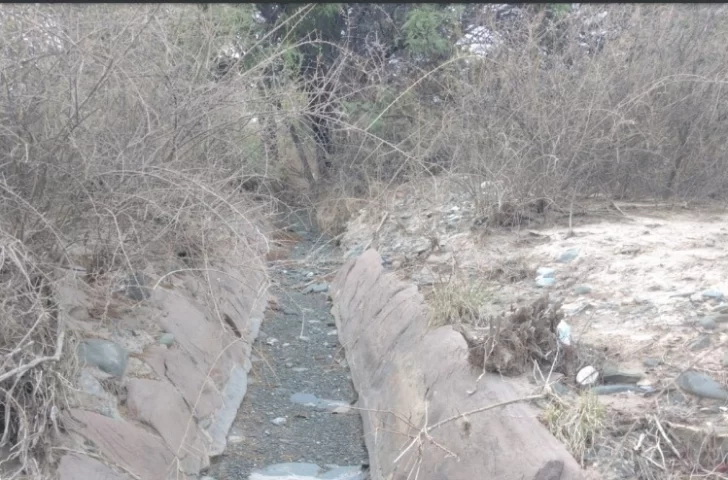 guanacache2-728x480 guanacache2-728x480