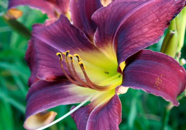 hemer-3-728x511 hemer-3-728x511