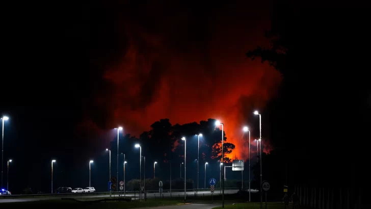 incendio-en-ezeiza2025-1-728x410