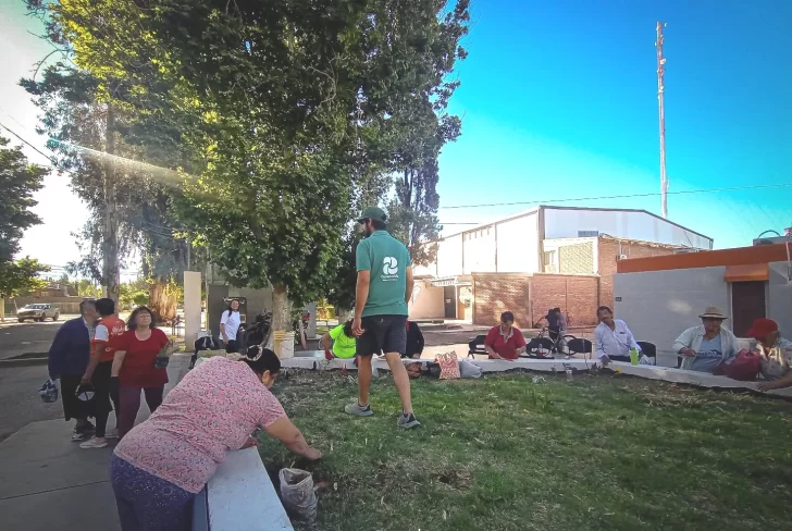 Vecinos, instituciones y municipios se unen para forestar y mejorar el paisaje de espacios verdes en Barreal