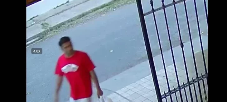 ladron-filmado-728x328