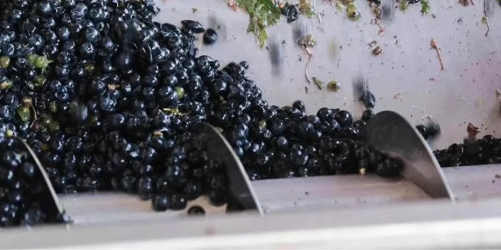 El Grupo Fecovita reconfigura Bodega Resero para aumentar hasta un 30% su producción en San Juan El Grupo Fecovita reconfigura Bodega Resero para aumentar hasta un 30% su producción en San Juan