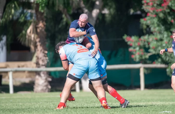 nenes-728x475 nenes-728x475