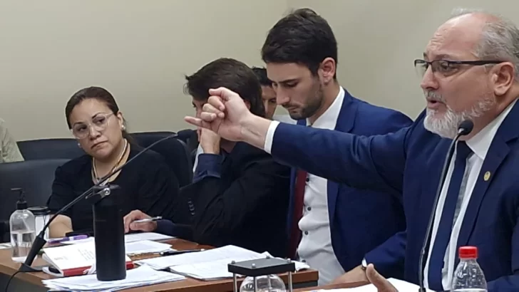 Pidieron 3 años y 6 meses de prisión para obstetra acusada de negligencia en el caso de la muerte de un recién nacido Pidieron 3 años y 6 meses de prisión para obstetra acusada de negligencia en el caso de la muerte de un recién nacido