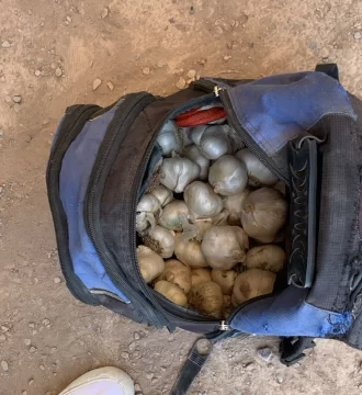 ojos-robados-2411-667x728