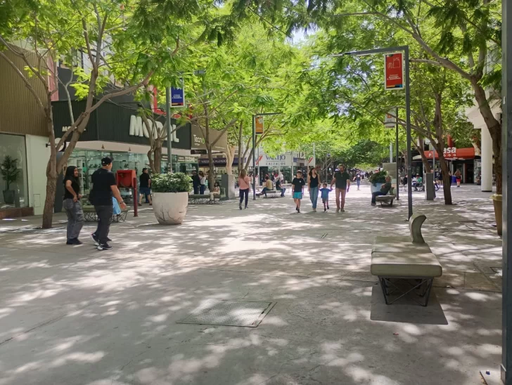 peatonal-san-juan-viernes-feriado-2111-3-728x548