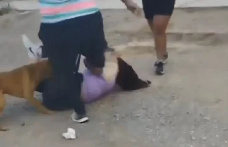 Dos mujeres se cruzaron a piñas y patadas mientras los vecinos filmaban la violenta pelea Dos mujeres se cruzaron a piñas y patadas mientras los vecinos filmaban la violenta pelea