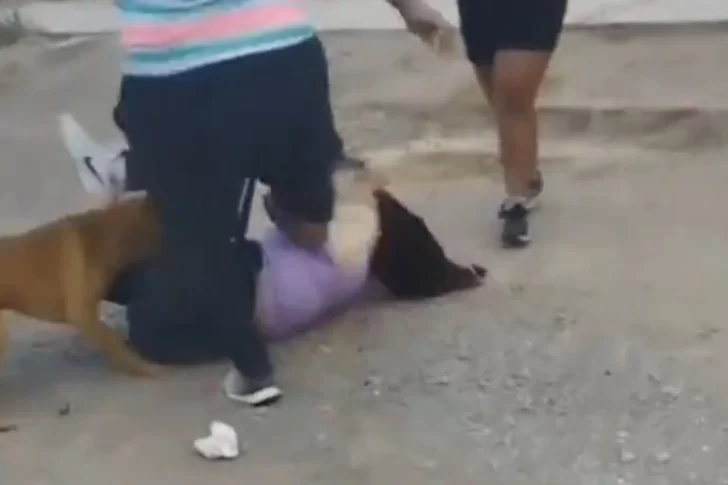 Dos mujeres se cruzaron a piñas y patadas mientras los vecinos filmaban la violenta pelea