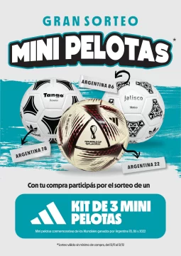 pelota2-515x728