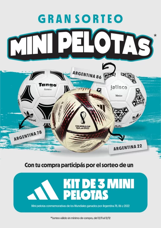 pelota2-515x728