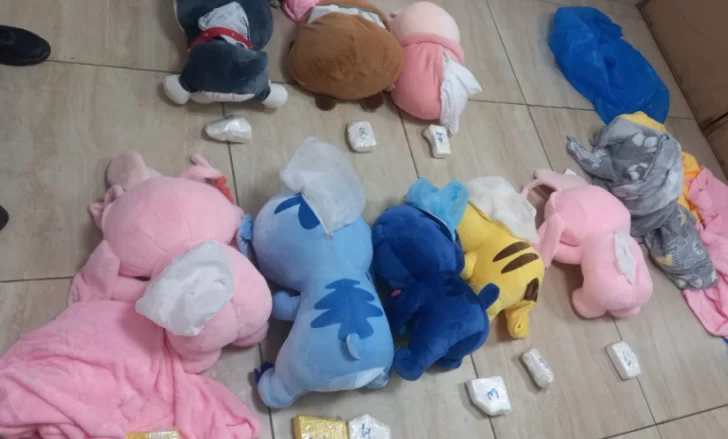 peluches-cocaina2025-728x439 peluches-cocaina2025-728x439