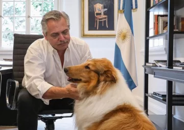 El ex presidente Fernández despidió a su perro Dylan: “Me regalaste una amistad que solo algunos humanos me han dado” El ex presidente Fernández despidió a su perro Dylan: “Me regalaste una amistad que solo algunos humanos me han dado”