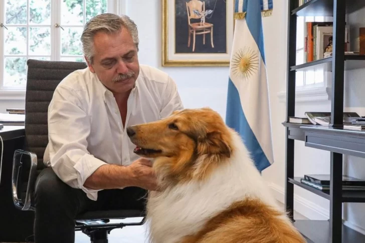 El ex presidente Fernández despidió a su perro Dylan: “Me regalaste una amistad que solo algunos humanos me han dado”