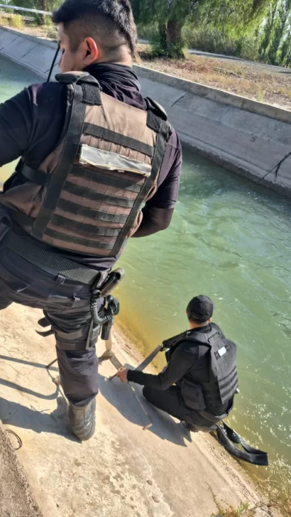 perro3-410x728 perro3-410x728