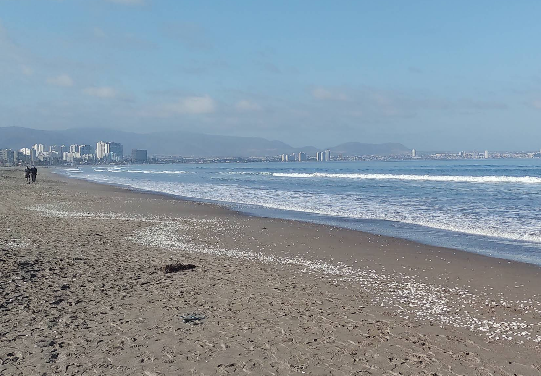 Cómo es Cuatro Esquinas, la zona costera donde desapareció el joven sanjuanino de 17 años Cómo es Cuatro Esquinas, la zona costera donde desapareció el joven sanjuanino de 17 años