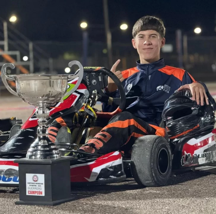 sajuaninoskart1-728x719 sajuaninoskart1-728x719