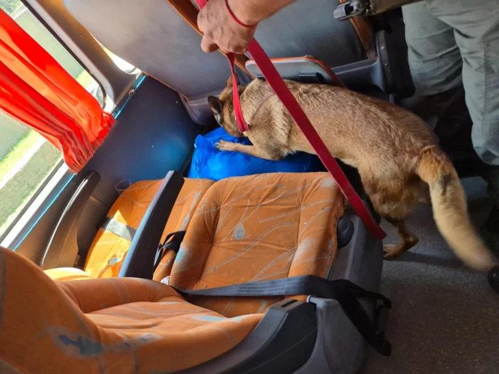 tucuman-_cocaina-_peluches-_02-728x546 tucuman-_cocaina-_peluches-_02-728x546