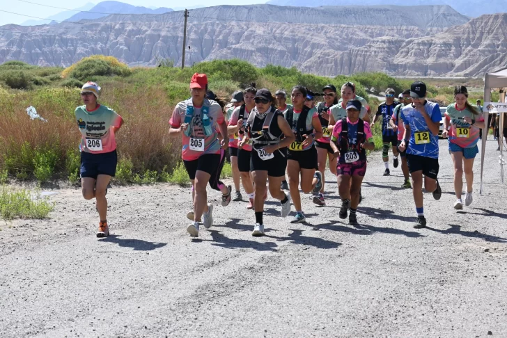 viento-728x486 viento-728x486