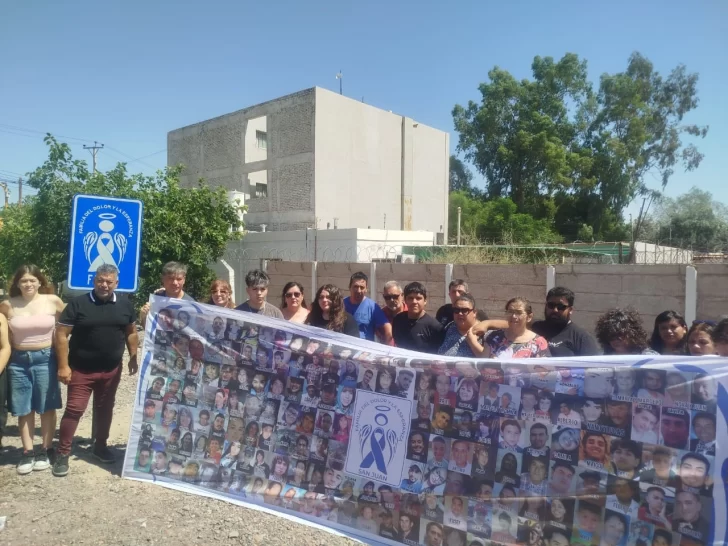 zulma-728x546 zulma-728x546