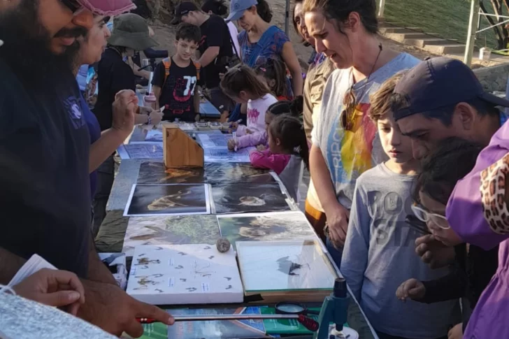 La UNSJ se prepara para un nuevo “Conteo Navideño de Murciélagos” en Ullum, con el fin de informar y derribar mitos