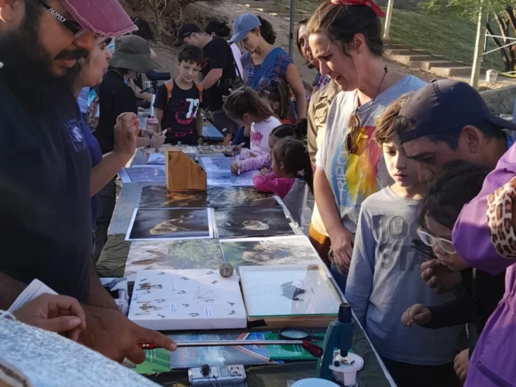 La UNSJ se prepara para un nuevo “Conteo Navideño de Murciélagos” en Ullum, con el fin de informar y derribar mitos La UNSJ se prepara para un nuevo “Conteo Navideño de Murciélagos” en Ullum, con el fin de informar y derribar mitos