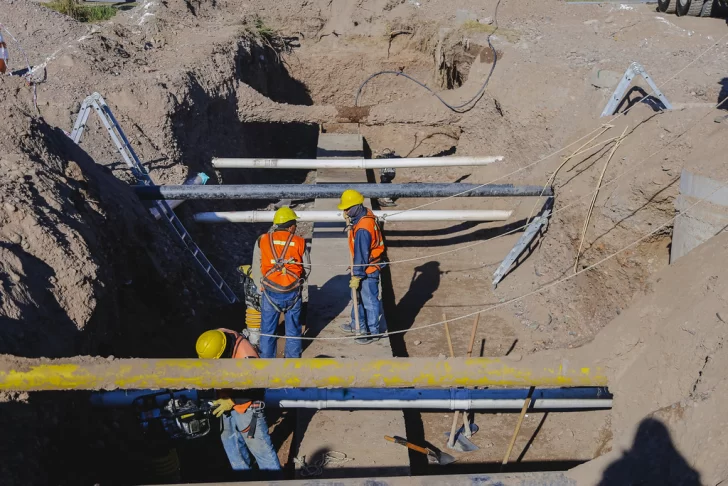 53755584284_19290e8f35_b-728x486