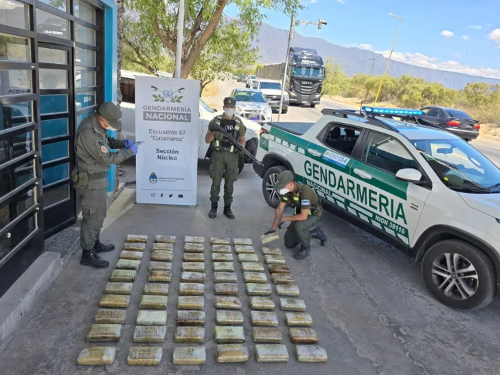 Hallaron más de 65 kilos de marihuana en un colectivo que iba a pasar por San Juan Hallaron más de 65 kilos de marihuana en un colectivo que iba a pasar por San Juan