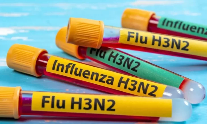 Influenza A H3N2: todo lo que tenes que saber sobre la nueva mutación, de la mano de una infectóloga sanjuanina Influenza A H3N2: todo lo que tenes que saber sobre la nueva mutación, de la mano de una infectóloga sanjuanina