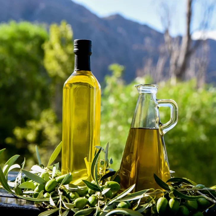 El aceite de oliva sanjuanino es el mejor de la Argentina, según un ranking mundial El aceite de oliva sanjuanino es el mejor de la Argentina, según un ranking mundial