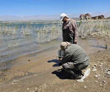 Desde la UNCUYO se refirieron al estudio que una ONG usó para denunciar presunta contaminación del río en Jáchal: no avalan esa hipótesis