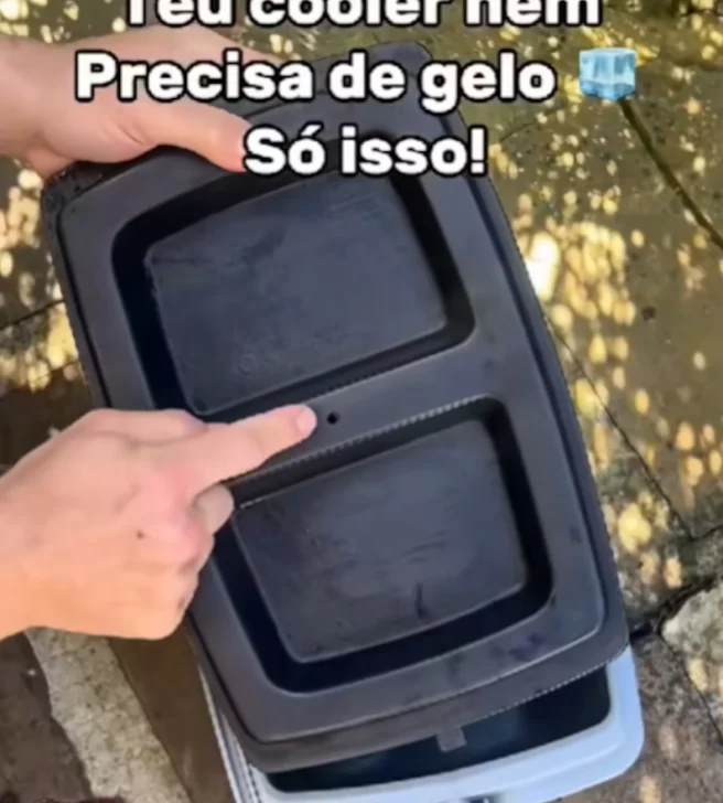 Captura-de-pantalla-2025-12-10-204629-656x728